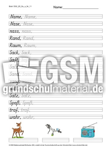 DSS_2S_Bu_a_Nr_11.pdf